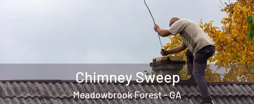 Chimney Sweep Meadowbrook Forest - GA