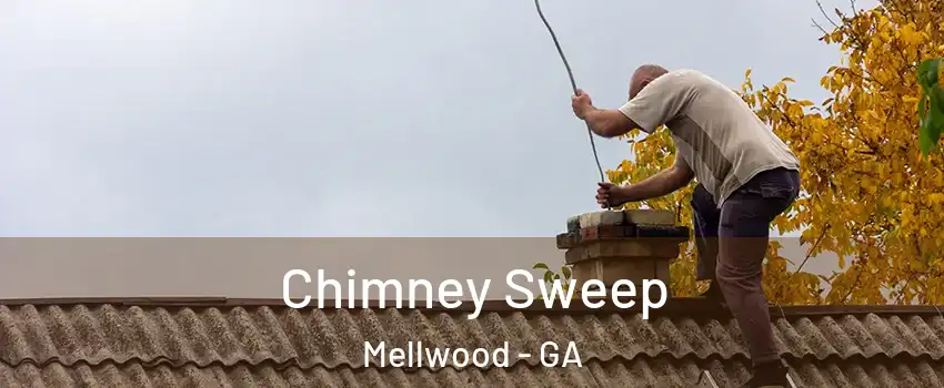 Chimney Sweep Mellwood - GA