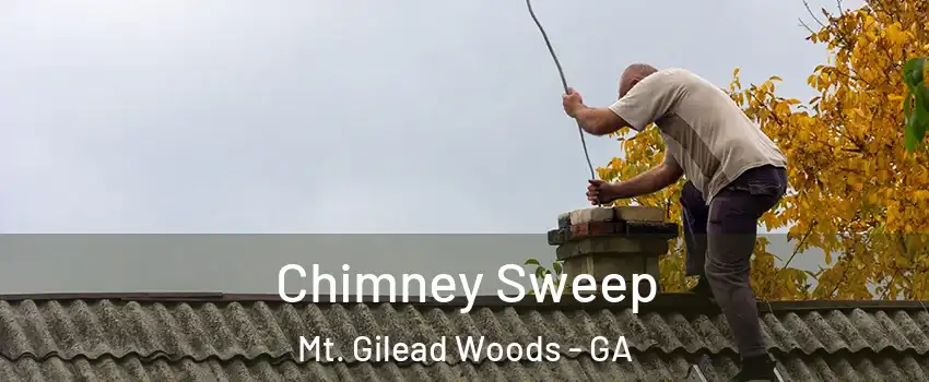 Chimney Sweep Mt. Gilead Woods - GA