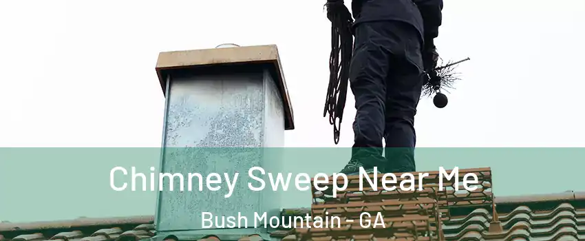 Chimney Sweep Near Me Bush Mountain - GA