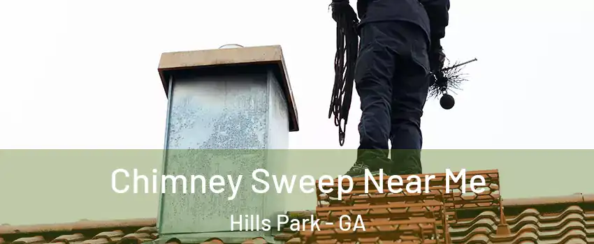 Chimney Sweep Near Me Hills Park - GA