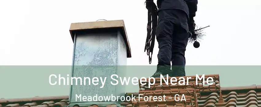 Chimney Sweep Near Me Meadowbrook Forest - GA