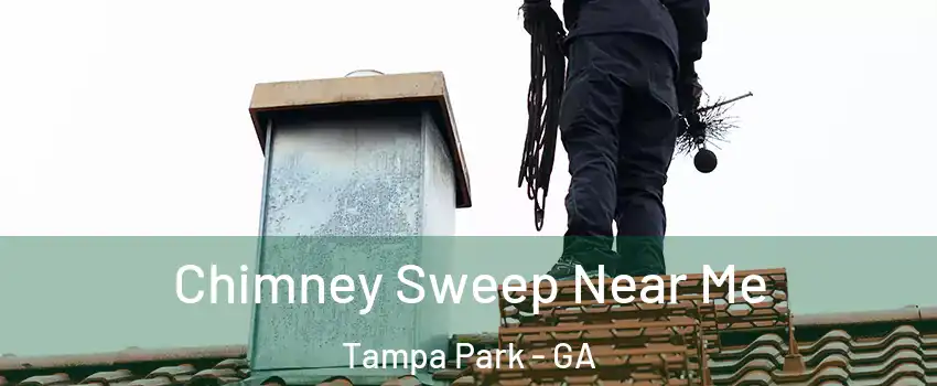 Chimney Sweep Near Me Tampa Park - GA