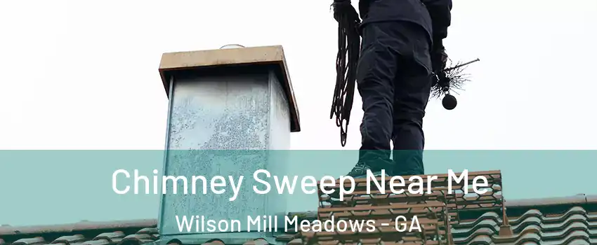 Chimney Sweep Near Me Wilson Mill Meadows - GA