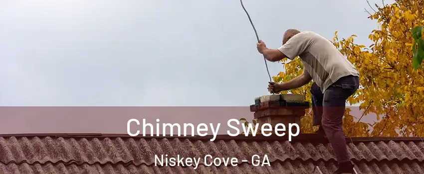 Chimney Sweep Niskey Cove - GA