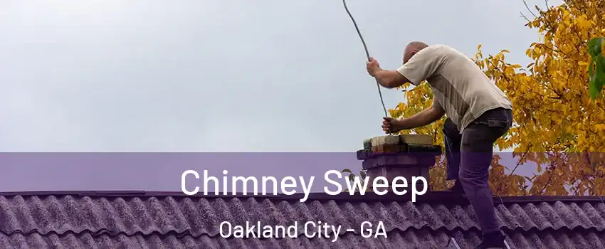 Chimney Sweep Oakland City - GA