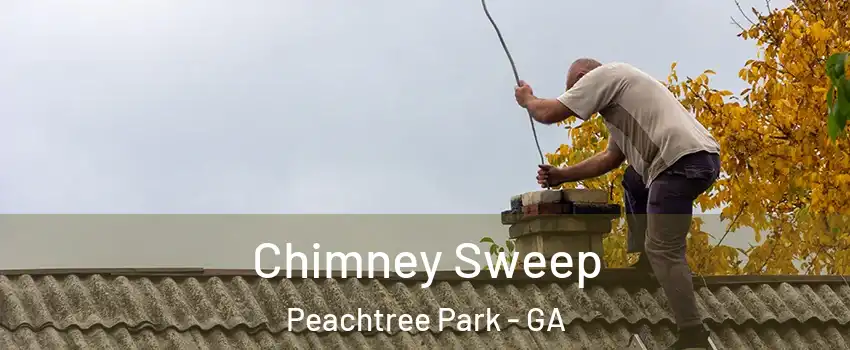 Chimney Sweep Peachtree Park - GA