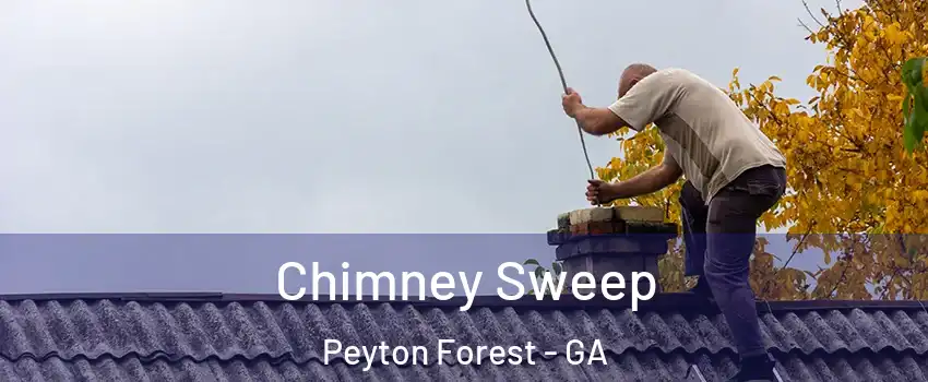 Chimney Sweep Peyton Forest - GA