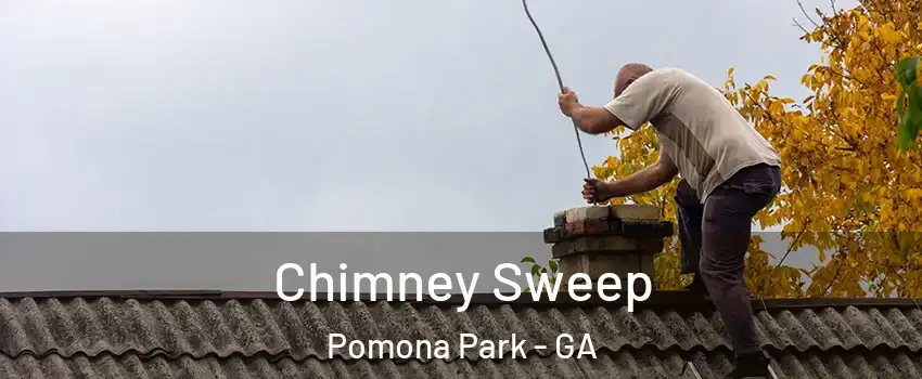 Chimney Sweep Pomona Park - GA