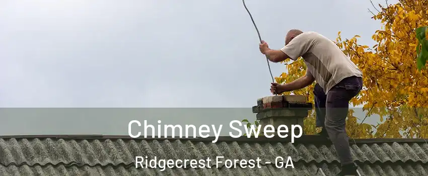 Chimney Sweep Ridgecrest Forest - GA