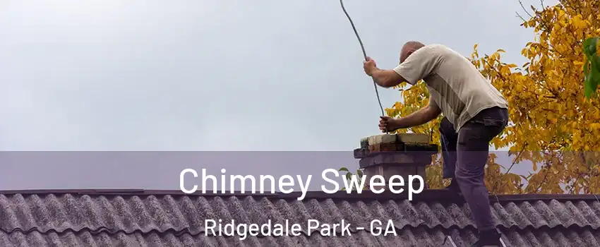 Chimney Sweep Ridgedale Park - GA