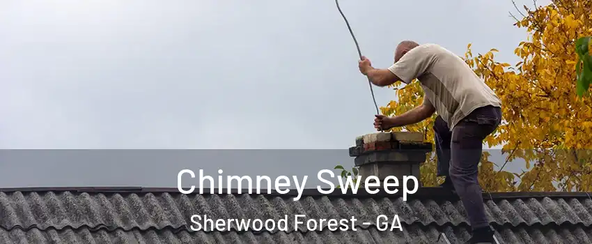 Chimney Sweep Sherwood Forest - GA
