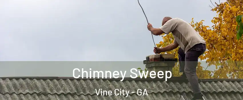 Chimney Sweep Vine City - GA