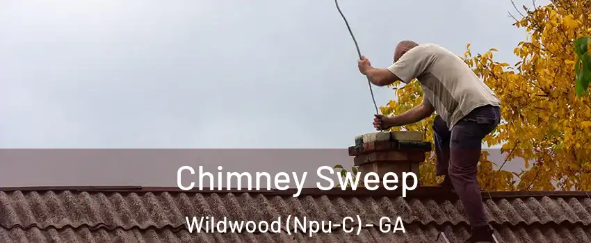 Chimney Sweep Wildwood (Npu-C) - GA