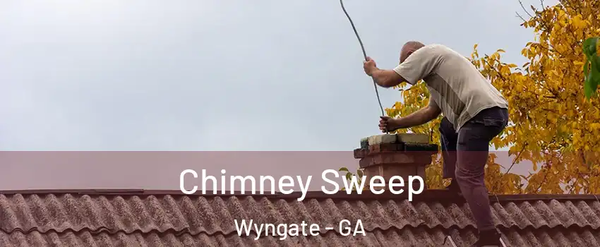 Chimney Sweep Wyngate - GA