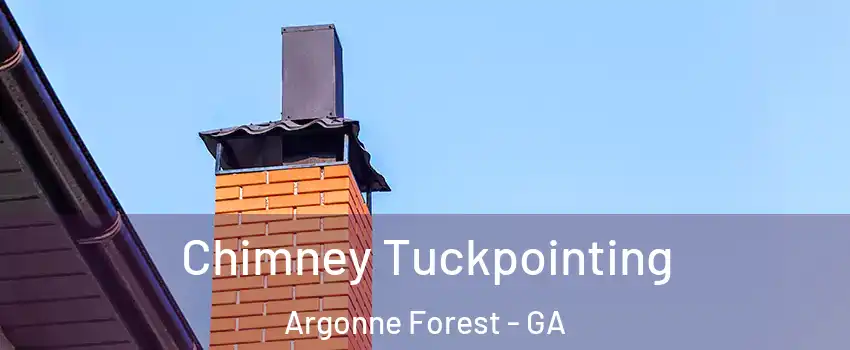 Chimney Tuckpointing Argonne Forest - GA