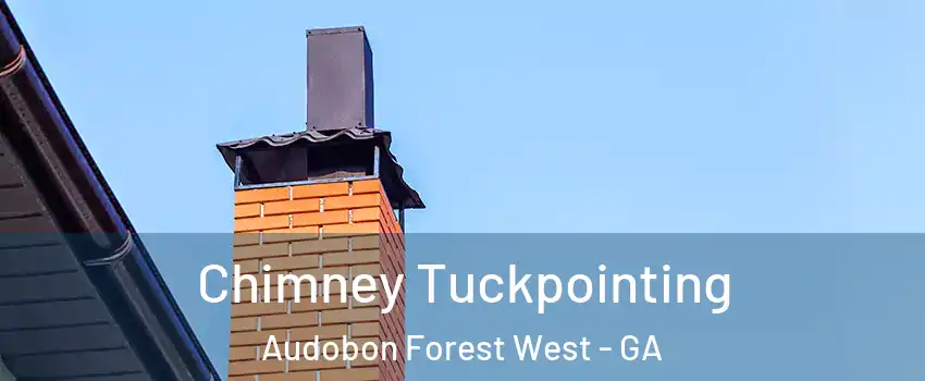 Chimney Tuckpointing Audobon Forest West - GA