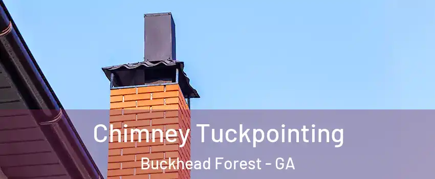 Chimney Tuckpointing Buckhead Forest - GA