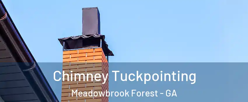 Chimney Tuckpointing Meadowbrook Forest - GA