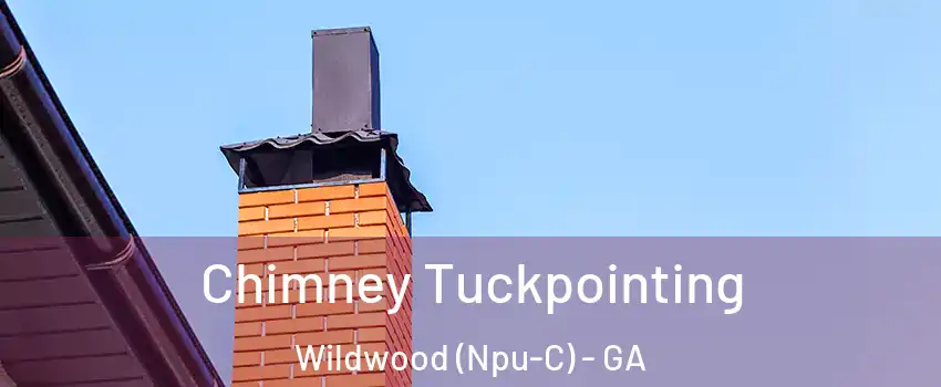 Chimney Tuckpointing Wildwood (Npu-C) - GA