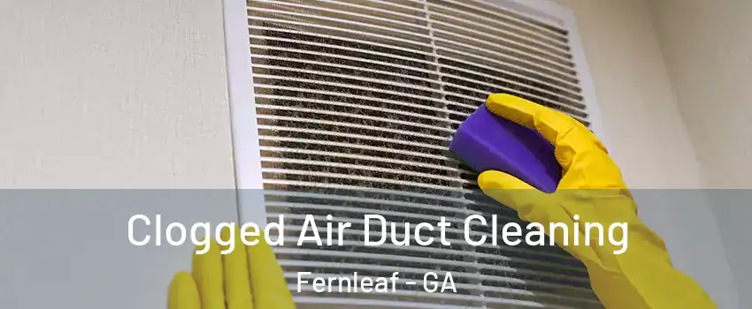 Clogged Air Duct Cleaning Fernleaf - GA