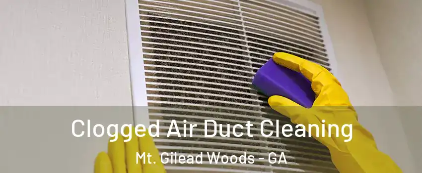 Clogged Air Duct Cleaning Mt. Gilead Woods - GA