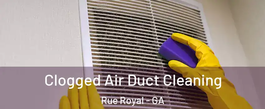 Clogged Air Duct Cleaning Rue Royal - GA