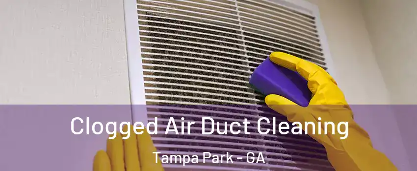 Clogged Air Duct Cleaning Tampa Park - GA