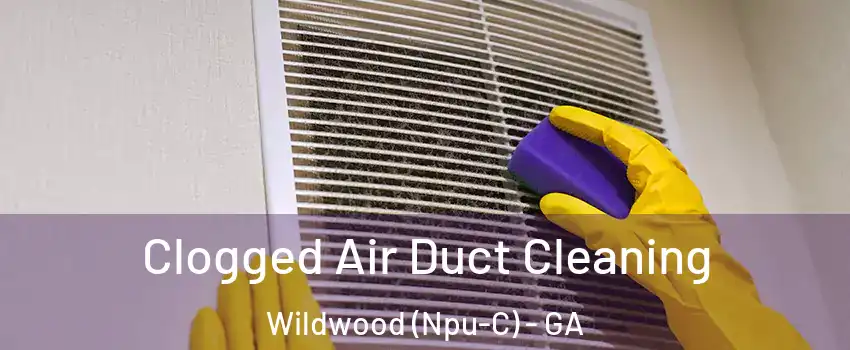 Clogged Air Duct Cleaning Wildwood (Npu-C) - GA