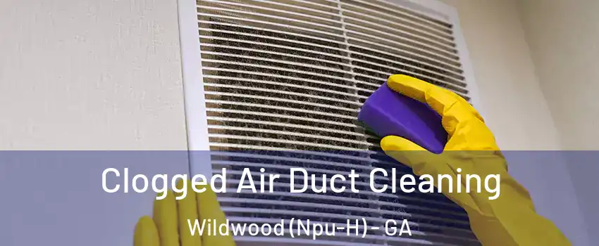 Clogged Air Duct Cleaning Wildwood (Npu-H) - GA