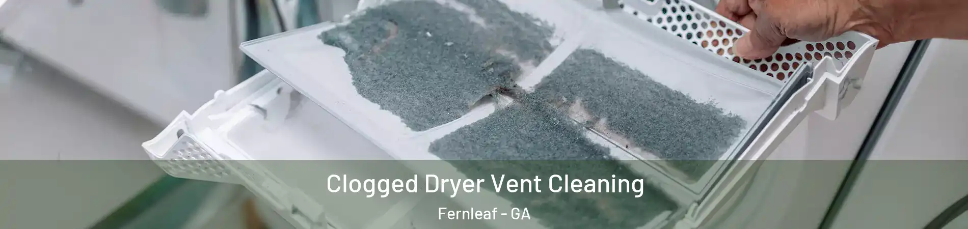 Clogged Dryer Vent Cleaning Fernleaf - GA