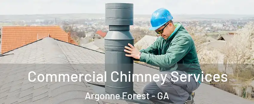 Commercial Chimney Services Argonne Forest - GA