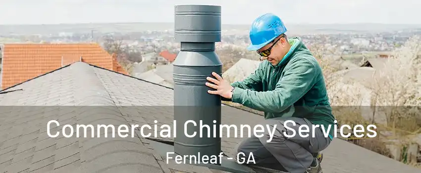 Commercial Chimney Services Fernleaf - GA