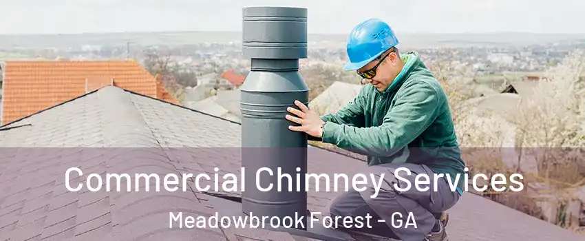 Commercial Chimney Services Meadowbrook Forest - GA