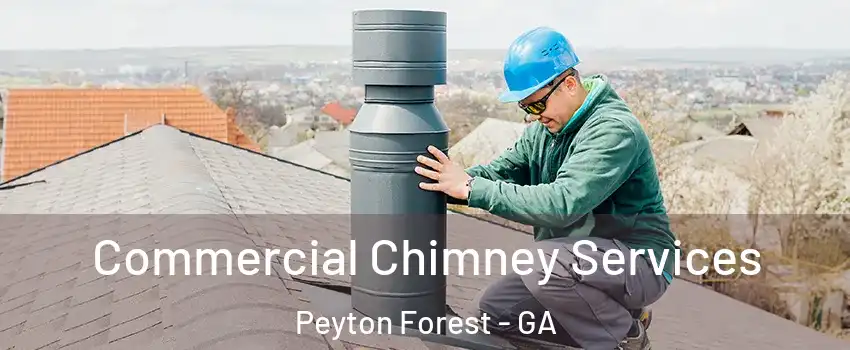 Commercial Chimney Services Peyton Forest - GA