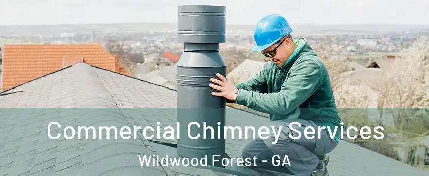 Commercial Chimney Services Wildwood Forest - GA
