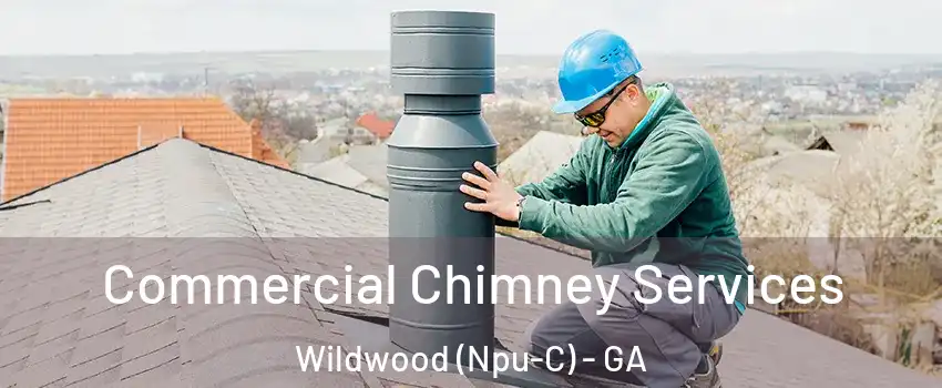 Commercial Chimney Services Wildwood (Npu-C) - GA