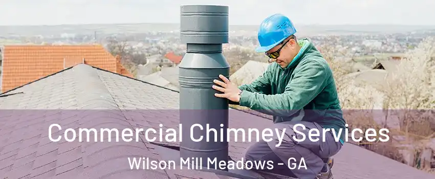 Commercial Chimney Services Wilson Mill Meadows - GA
