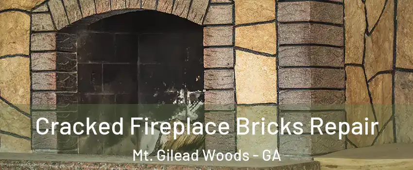 Cracked Fireplace Bricks Repair Mt. Gilead Woods - GA