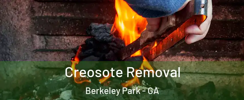 Creosote Removal Berkeley Park - GA