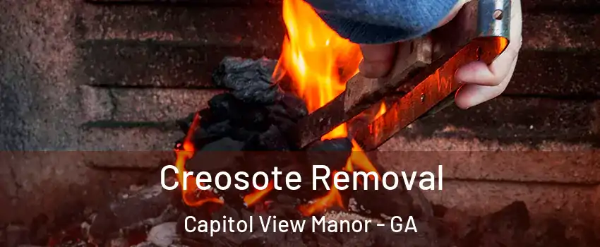 Creosote Removal Capitol View Manor - GA