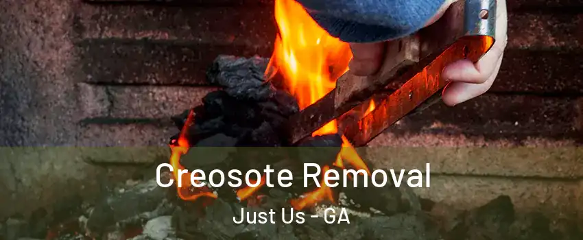 Creosote Removal Just Us - GA