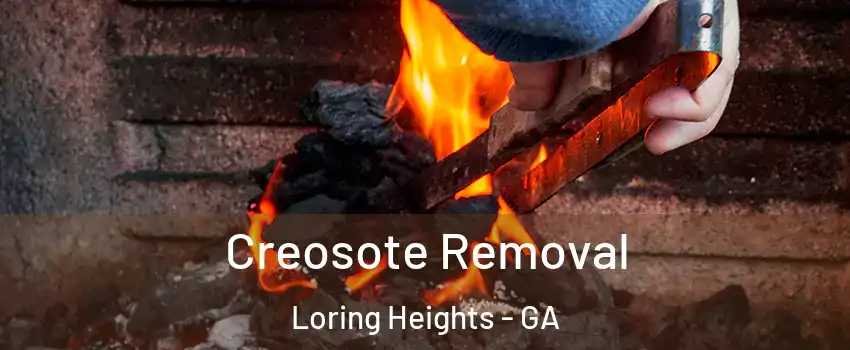 Creosote Removal Loring Heights - GA
