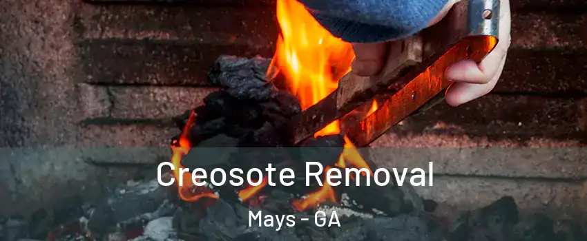 Creosote Removal Mays - GA