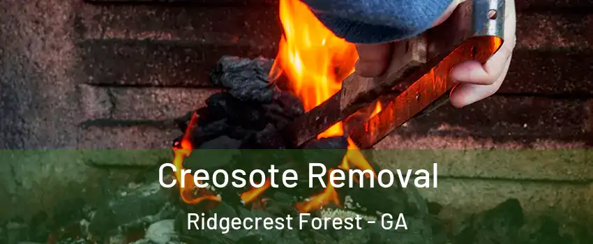 Creosote Removal Ridgecrest Forest - GA