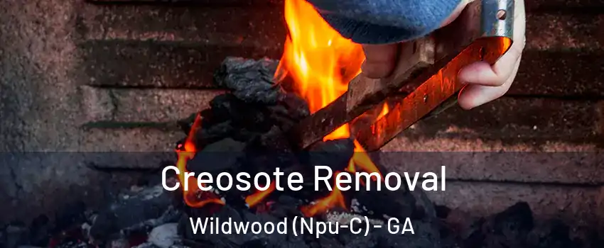 Creosote Removal Wildwood (Npu-C) - GA