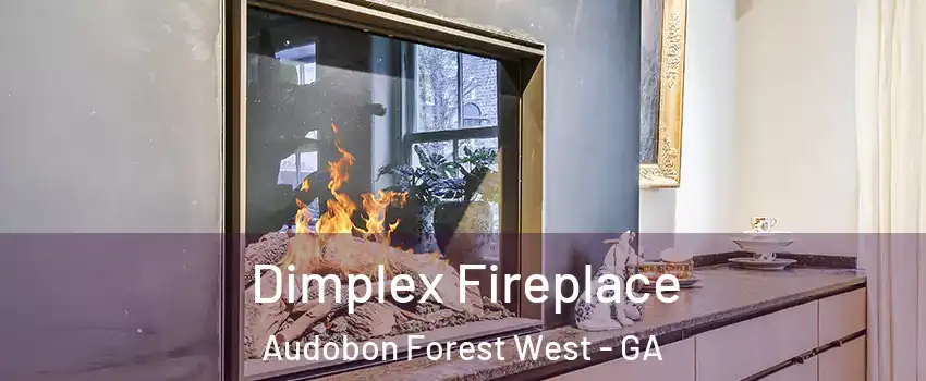 Dimplex Fireplace Audobon Forest West - GA