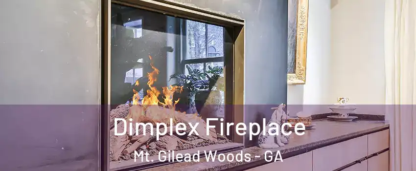 Dimplex Fireplace Mt. Gilead Woods - GA