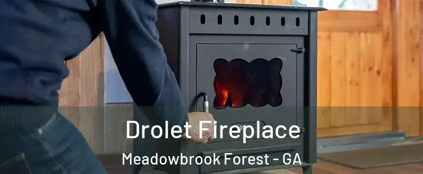 Drolet Fireplace Meadowbrook Forest - GA