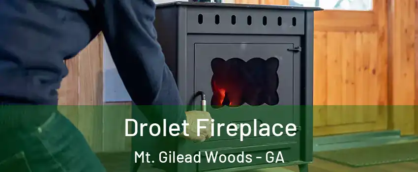 Drolet Fireplace Mt. Gilead Woods - GA